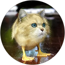 PTP profile picture